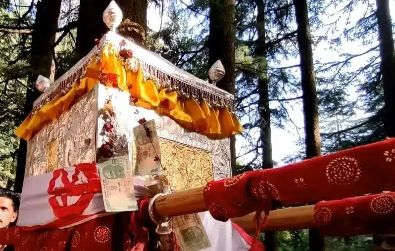 Mahasu palki